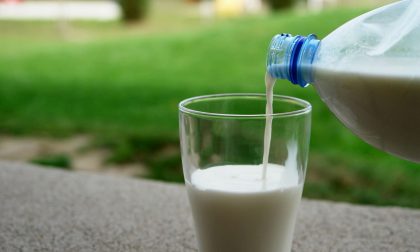 Prezzo del latte, in frenata ad inizio 2023