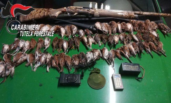 Abbattono uccelli protetti: due bresciani denunciati
