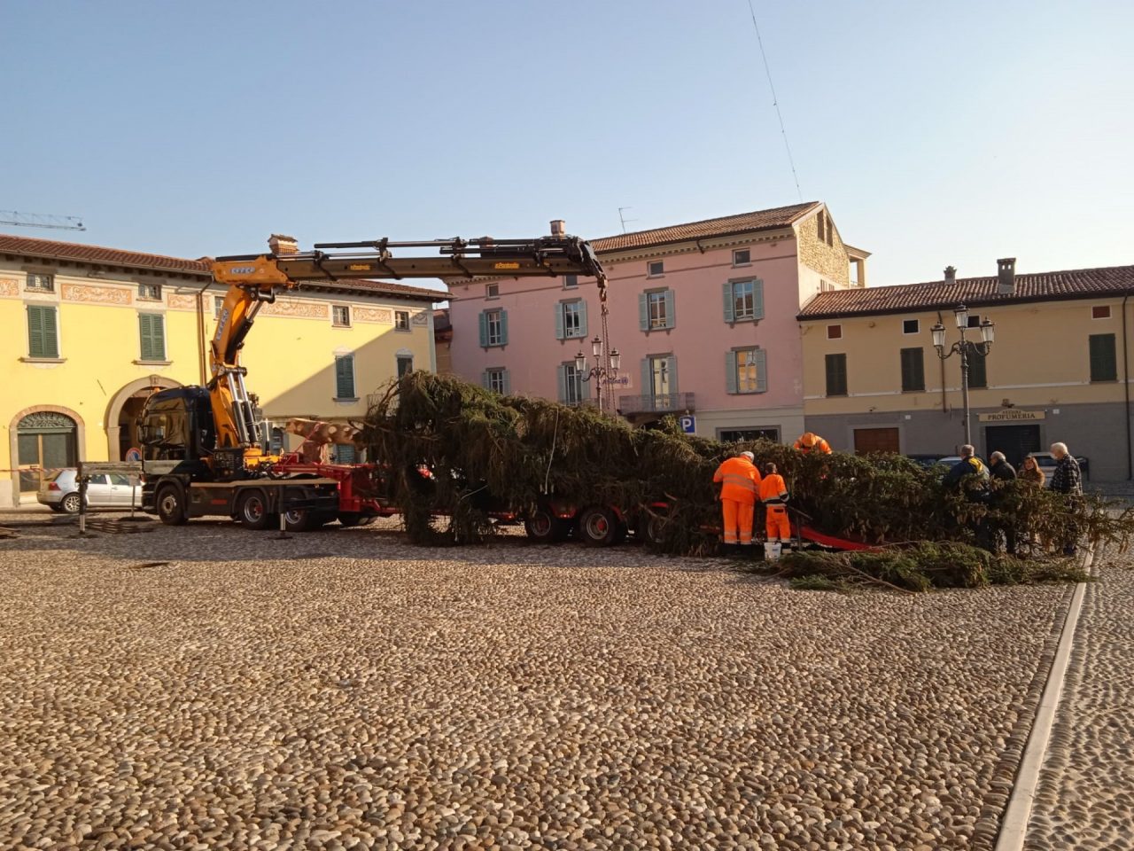 Dalla Val Palot a Rovato, è arrivato l’albero di Natale GALLERY