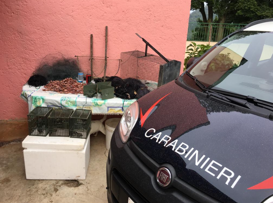 Operazione “Pettirosso”, salvati migliaia di esemplari protetti e denunciati oltre 100 bracconieri