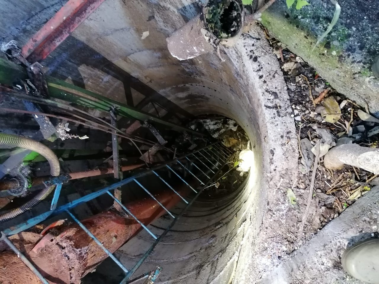 Cane cade in un pozzo, salvato dai Vigili del Fuoco