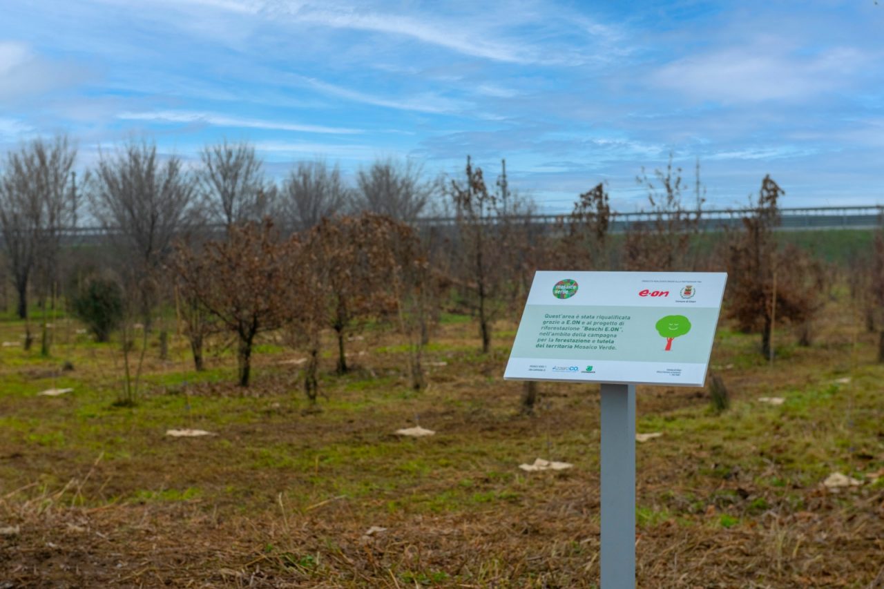 Mille nuovi alberi a Chiari grazie al sostegno di E.On