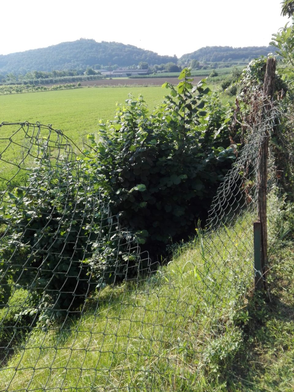 Nottata di furti tra Lonato e Desenzano