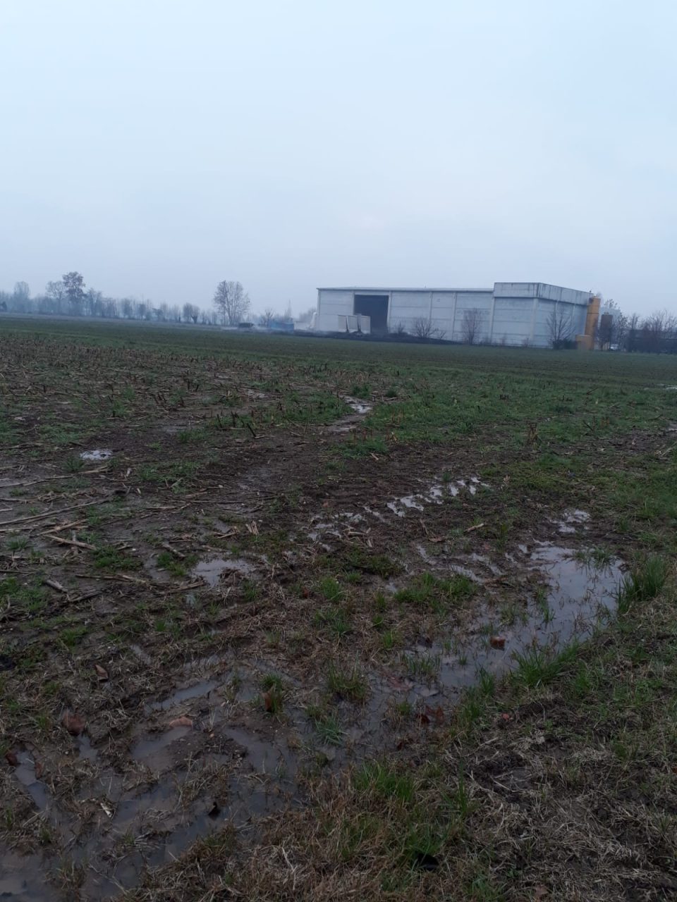 Crolla una parte di capannone Wte, rischio di contaminazione da fanghi