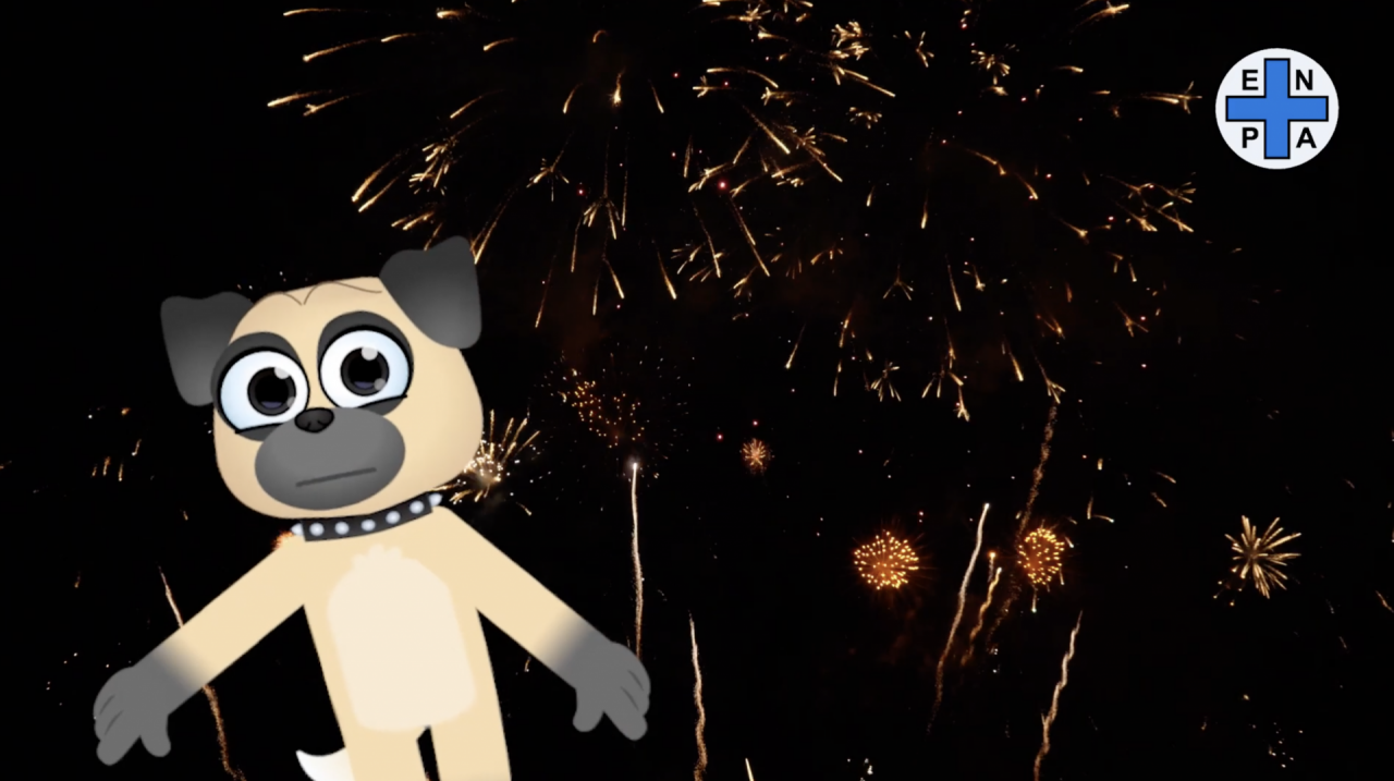 Botti di capodanno, i consigli di Enpa per i propri animali