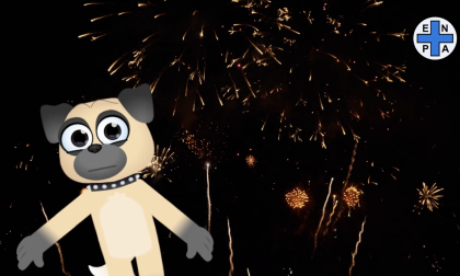 Botti di capodanno, i consigli di Enpa per i propri animali