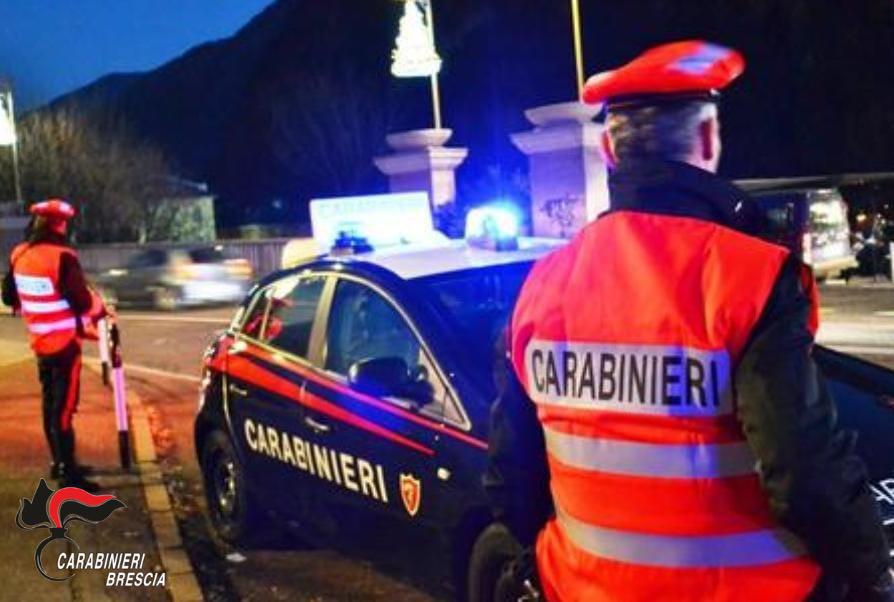 Ladri di…piante, i malviventi hanno messo a punto un furto in un vivaio per poi darsi alla fuga