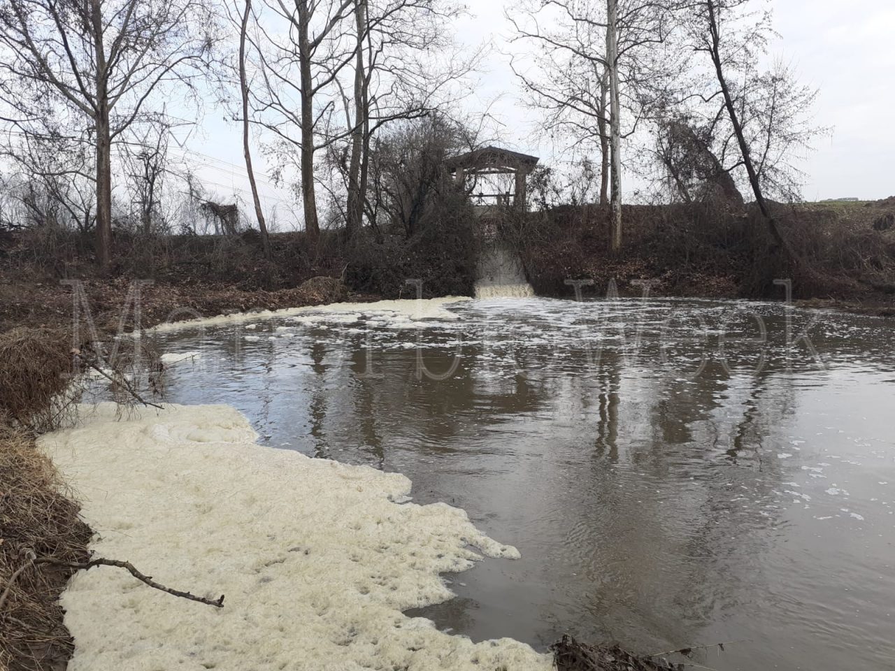 Schiuma bianca nel Lussignolo indagano le autorità