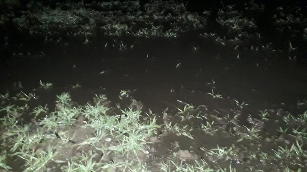 Campi allagati dai reflui “abusivi”, sul posto interviene l’Arpa