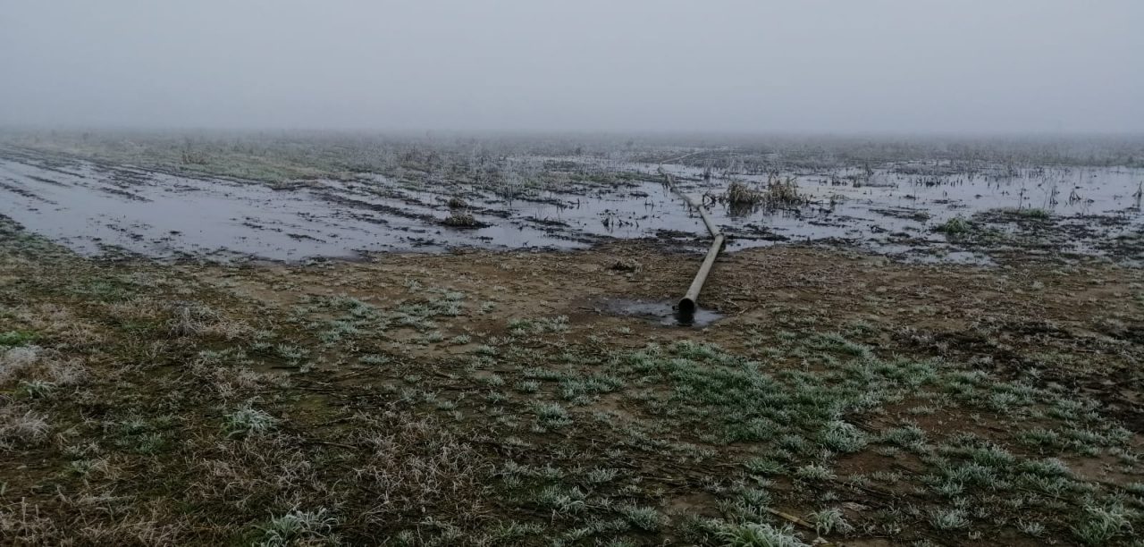 Terreni allagati dal digestato, scattano le indagini