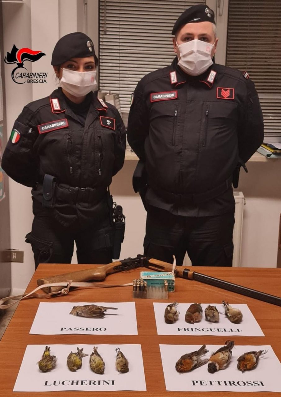 Caccia di frodo: nei guai un pensionato di Verolanuova