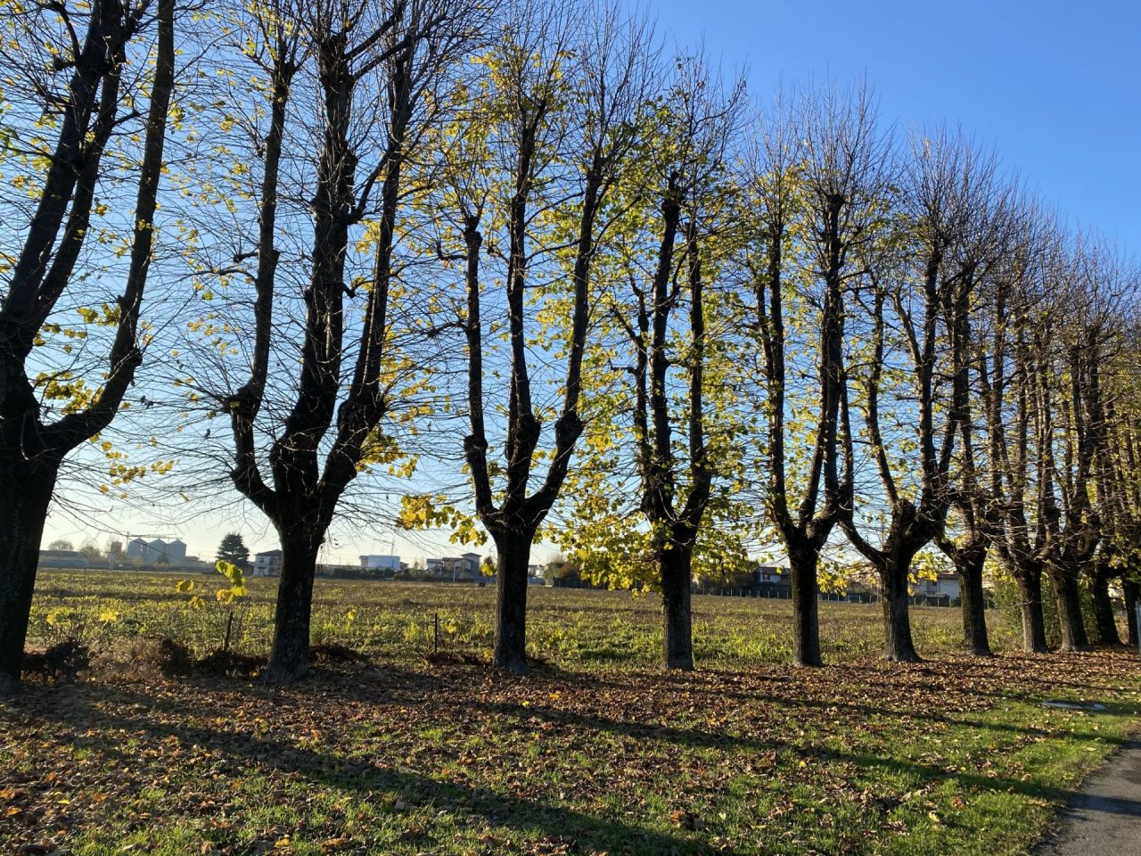 Conoscere la città passeggiando: nasce un contest per le camminate