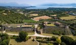 Con il progetto di riforestazione 600 nuovi alberi saranno piantati a Lonato