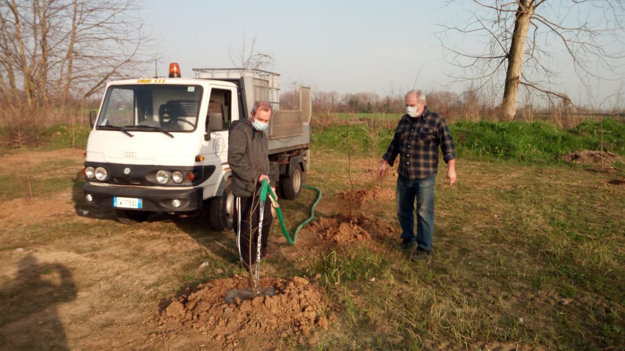 Una boccata d’ossigeno per la Bassa, in arrivo una foresta