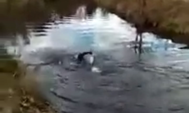 Ancora sversamenti illeciti nel fiume, interviene l’Arpa