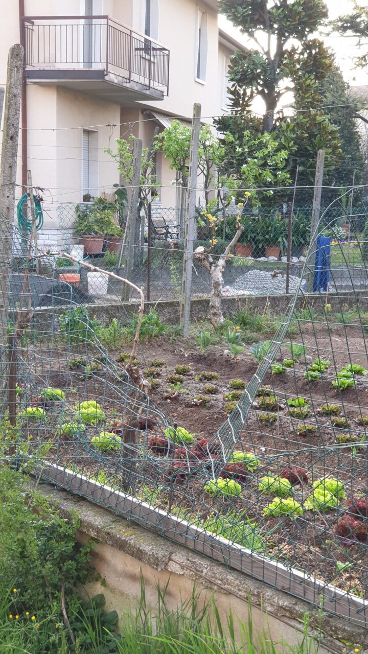 Ladri in azione nella notte: a Montichiari nel mirino il quartiere Marcolini