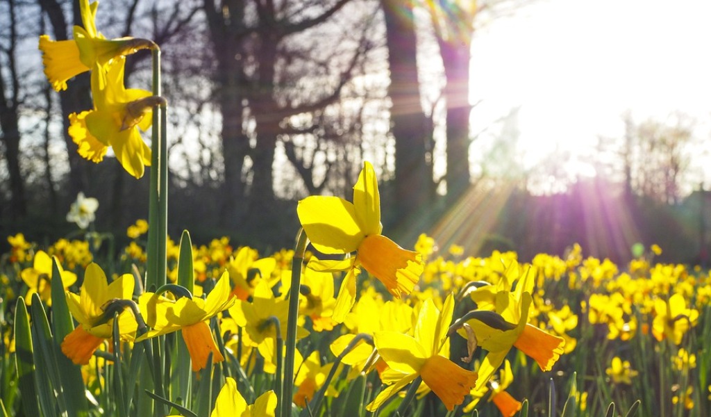 Cosa fare nel week end di Pasqua: gli eventi di sabato 30, domenica 31 marzo e lunedì 1 aprile a Brescia e in provincia