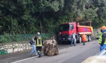 Caduti due massi lungo la litoranea tra Tavernola e Predore