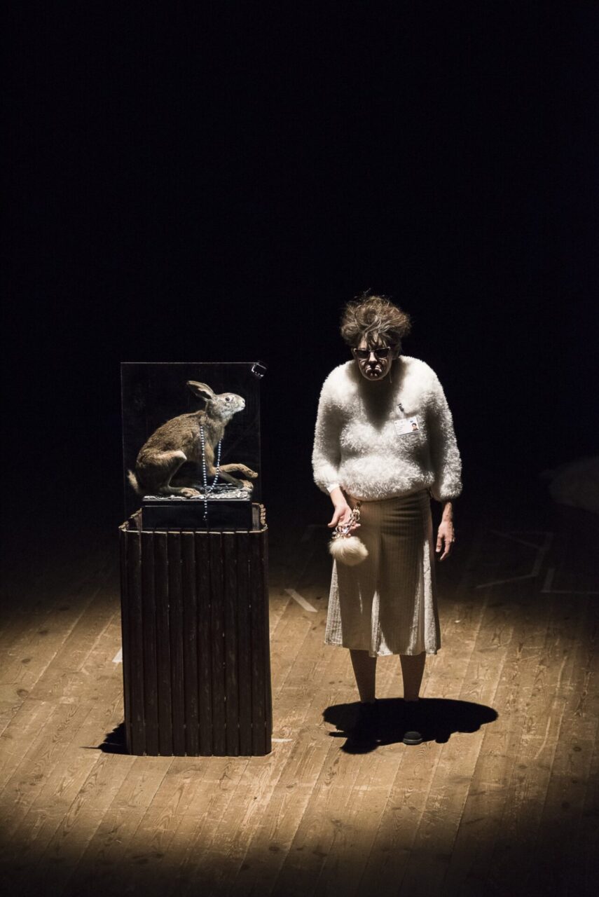 CI.T.T.A’. DOLCI:  29 spettacoli tra la Franciacorta e il Garda