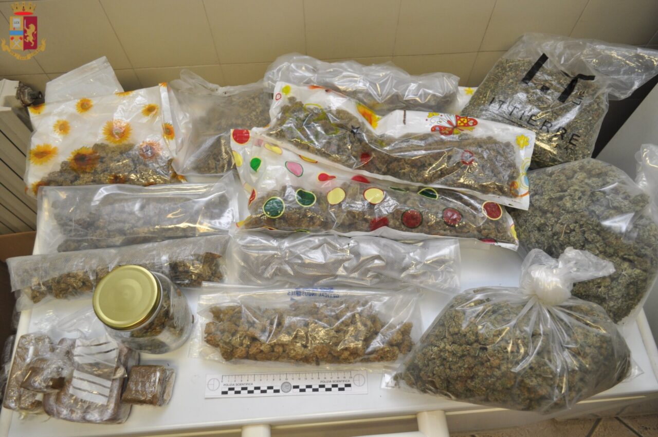Serra di marijuana in un deposito: arrestati due trafficanti