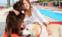 Michela Vittoria Brambilla: "No agli abbandoni degli animali, specialmente se accolti in casa durante il lockdown"