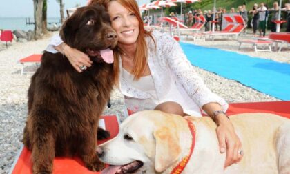 Michela Vittoria Brambilla: “No agli abbandoni degli animali, specialmente se accolti in casa durante il lockdown”