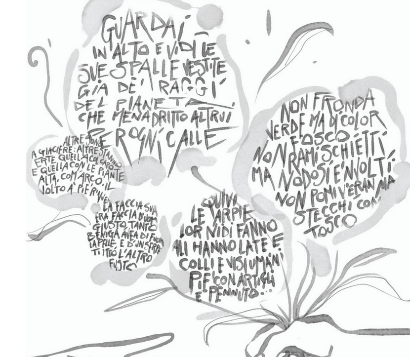 Del visibile al parlare… della Divina Commedia