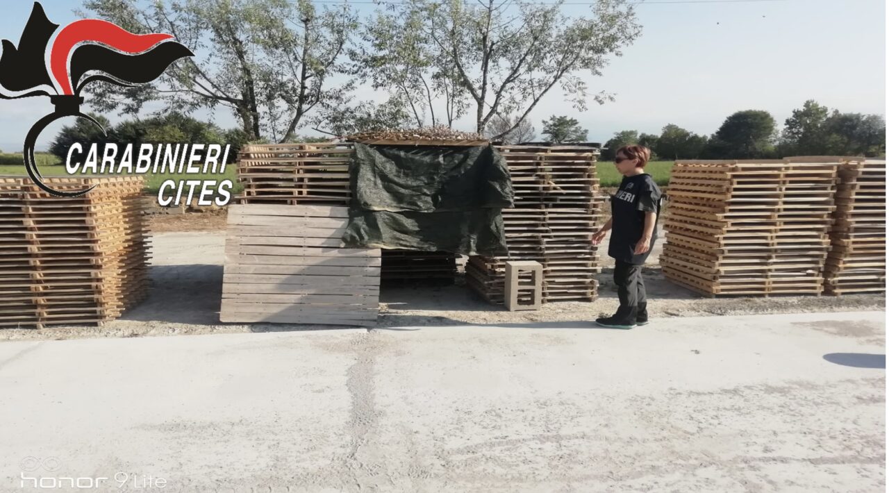 Apertura della stagione di caccia: denunciate tre persone