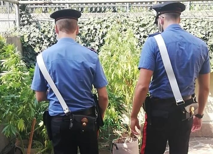 Ventiseienne col pollice verde coltivava marijuana in casa