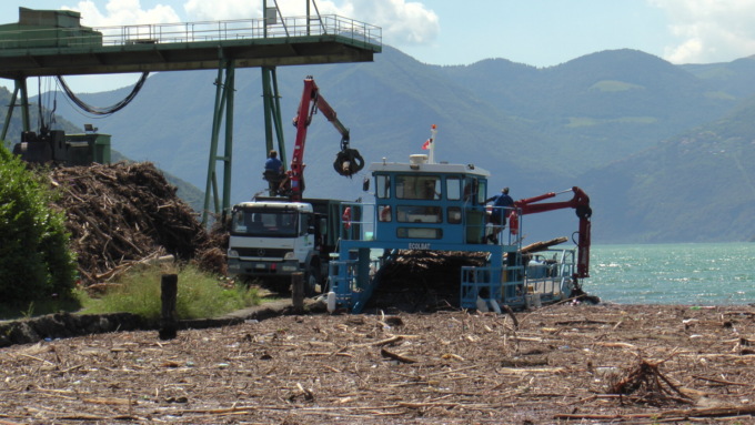 Molte più alghe e meno tronchi: il bilancio del lavoro del battello spazzino