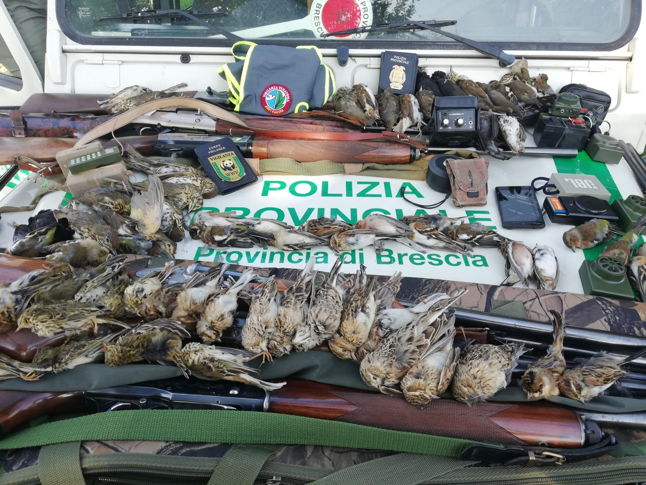 Bracconaggio fuori controllo, dieci denunce in una mattina