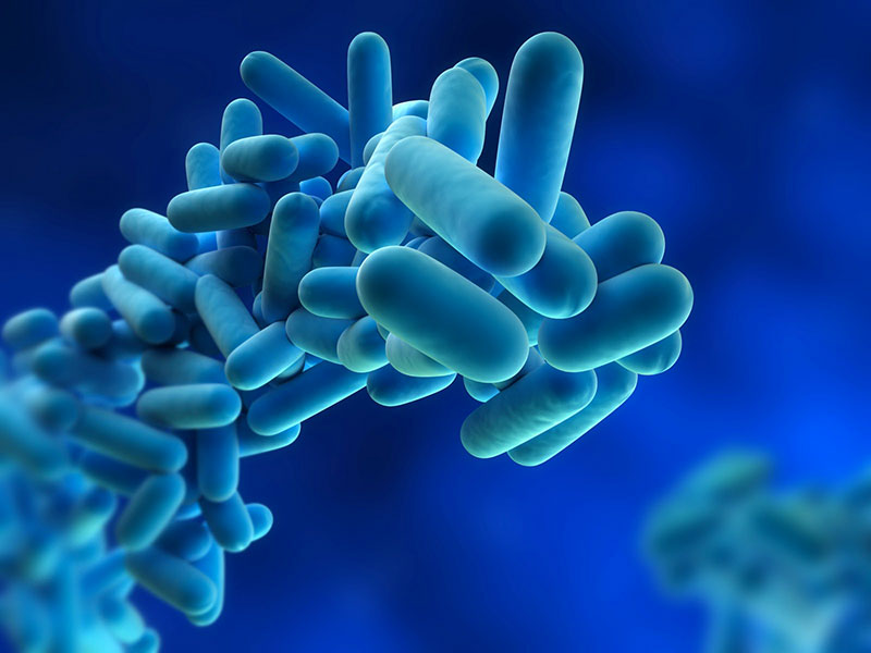 Legionella nei bagni della palestra dei Novagli e all’asilo delle Marcolini