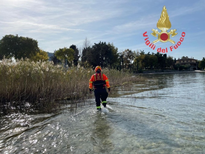 Ricerche Paola Tonoli