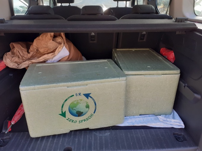 Con Zero Waste Food la scuola si schiera contro gli sprechi