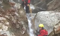 Cane di piccola taglia finisce nella forra, intervengono i Vigili del Fuoco