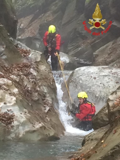 Cane di piccola taglia finisce nella forra, intervengono i Vigili del Fuoco