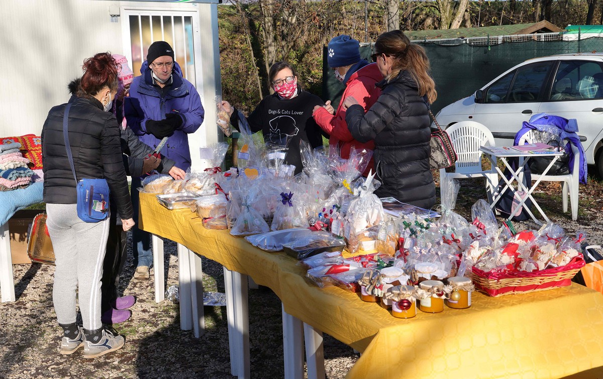 Canile le Muse di Rezzato donazione Feralpisal