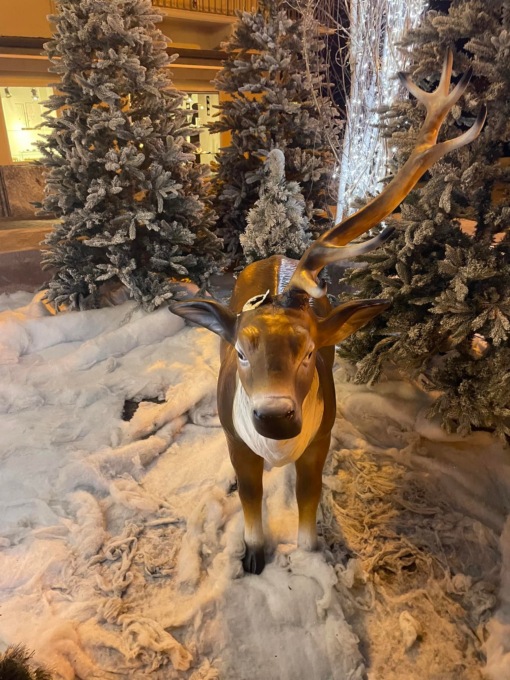 Vandali in azione, presi di mira gli addobbi natalizi