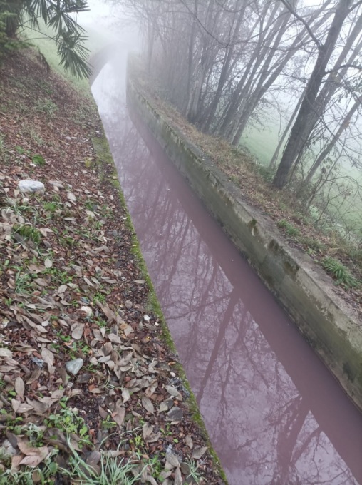 Sversamento nella roggia che attraversa Vighizzolo
