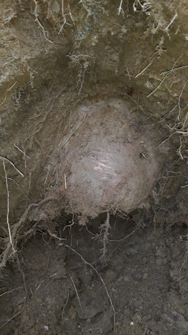 I  corpi di 94 soldati ritrovati in una fossa comune ai piedi del Tonale