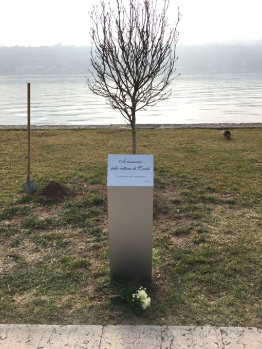 Una magnolia in ricordo delle 55 vittime salodiane di Covid, la messa a dimora sul lungolago