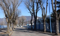 Sostituzione e piantumazione di nuovi alberi, al via il progetto per il quartiere di Mompiano