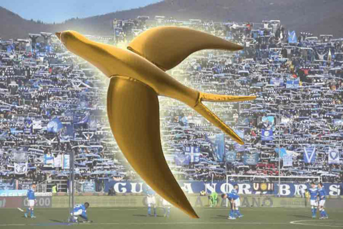 Premio Rondinella d’Oro: si alza il sipario sull’edizione 2024