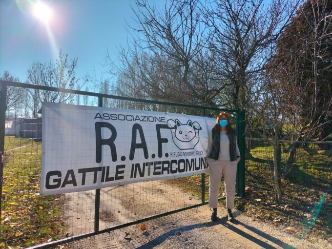 Open day al gattile e tante novità