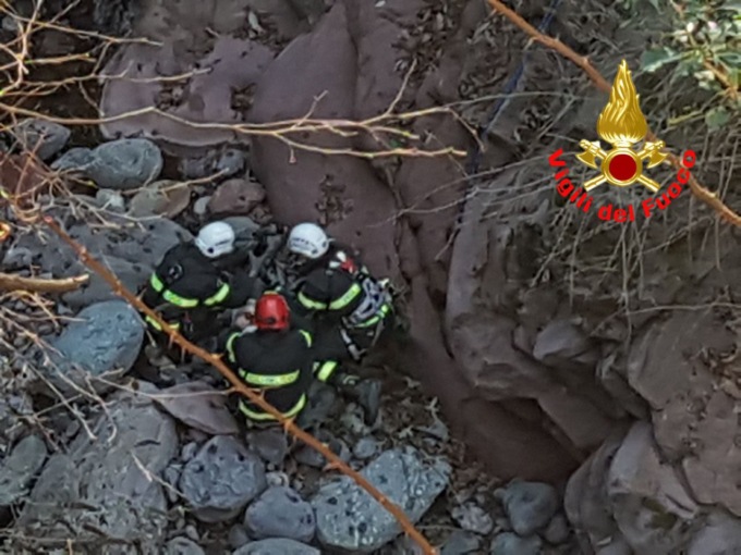 Capodanno 2022: cane fugge per la paura dei botti e finisce in un torrente