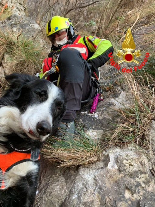 Cane disperso da dieci giorni recuperato dall’elicottero dei Vigili del Fuoco