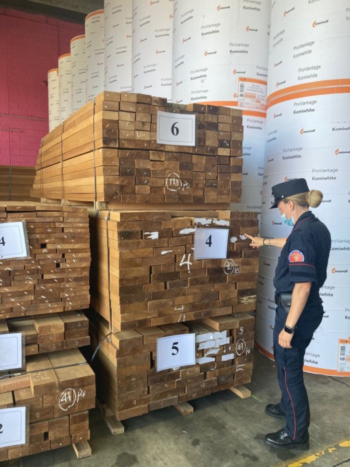 Carabinieri Forestali Lombardia, il bilancio dell’attività svolta nel 2021