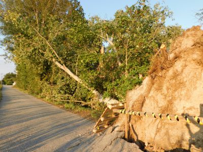 Accolta dal Ministero la richiesta di Regione, riconosciuta l’eccezionalità della tromba d’aria di settembre