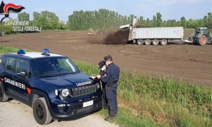 Fanghi Wte, la condanna regge in Appello