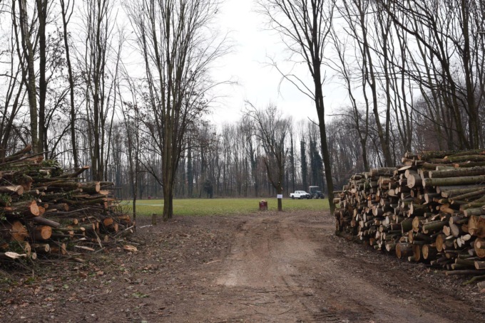 Fiume Mella e Bosco della Badia, lavori forestali in corso